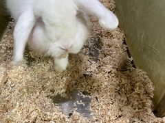 -上海大自然野生昆虫馆