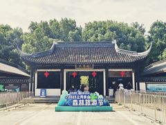 -上海佘山国家森林公园天马山园