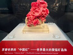 -湖南省地质博物馆