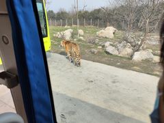-西安秦岭野生动物园