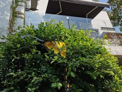 -RGF(巨鹿路店)