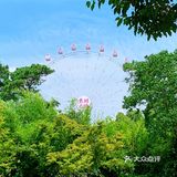 简简单单的路过武汉[调皮]