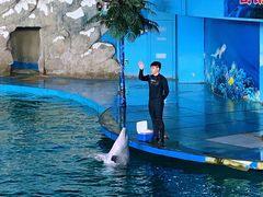 -苏州海洋馆