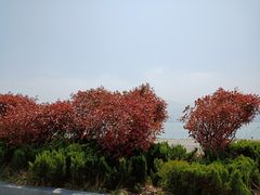 -在海一方公园