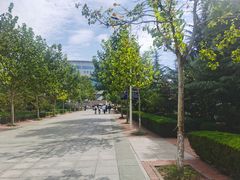 -青岛恒星科技学院