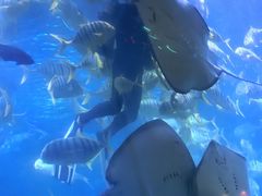 -蓬莱欧乐堡海洋极地世界