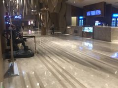 -武商摩尔影城(国广IMAX激光店)