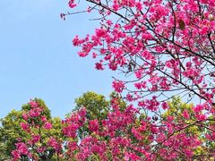 -广东外语外贸大学(白云山校区)