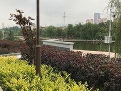 -雁滩公园