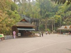 -西双版纳原始森林公园