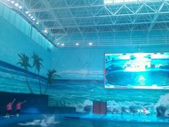 -多彩贵州城极地海洋世界