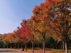 -南京市江宁方山
