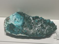 -重庆自然博物馆(新馆)