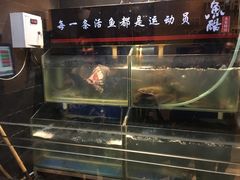 -鱼酷活鱼烤鱼(恒隆广场店)