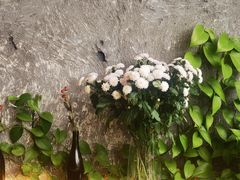 -Laures·月桂西班牙碳烤餐厅(十尚坊店)