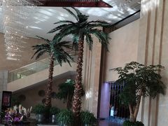 -常州环球恐龙城维景国际大酒店