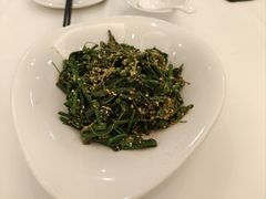 芝麻丝瓜苗-金春禧(世茂国际广场店)