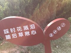 -西安青龙寺遗址景区