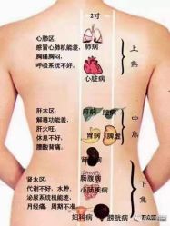 -香薇妮丝女子减肥院