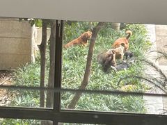 -安徽工业大学(秀山校区)