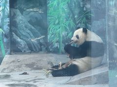 -鄂尔多斯野生动物园