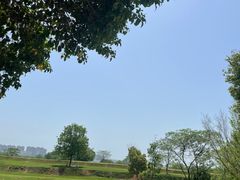 -盘龙城国家考古遗址公园