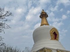 -护国法轮寺