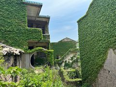 -枸杞岛