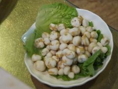 珍珠马蹄-四季合味椰子鸡(南山大冲店)