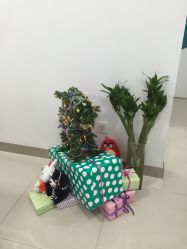-肤原祛痘·科技修肤中心