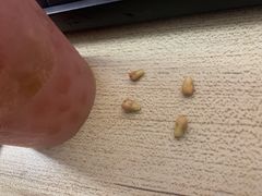 -伏小桃(萧山银隆店)