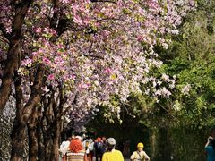 -南丰汇(新港东路店)