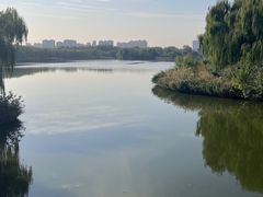 -大兴滨河森林公园