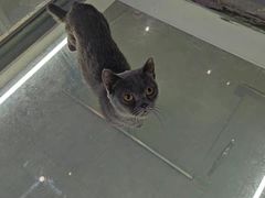 -极木²邸 人与宠物·互动社区