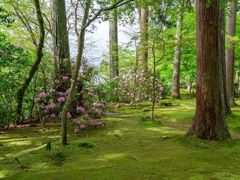 -三千院