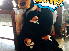 -济州岛泰迪熊博物馆