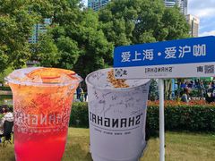 -陆家嘴中心绿地