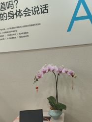 -美丽妈妈产后恢复中心(南桥旗舰店)