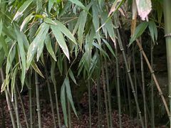 -杭州黄龙洞