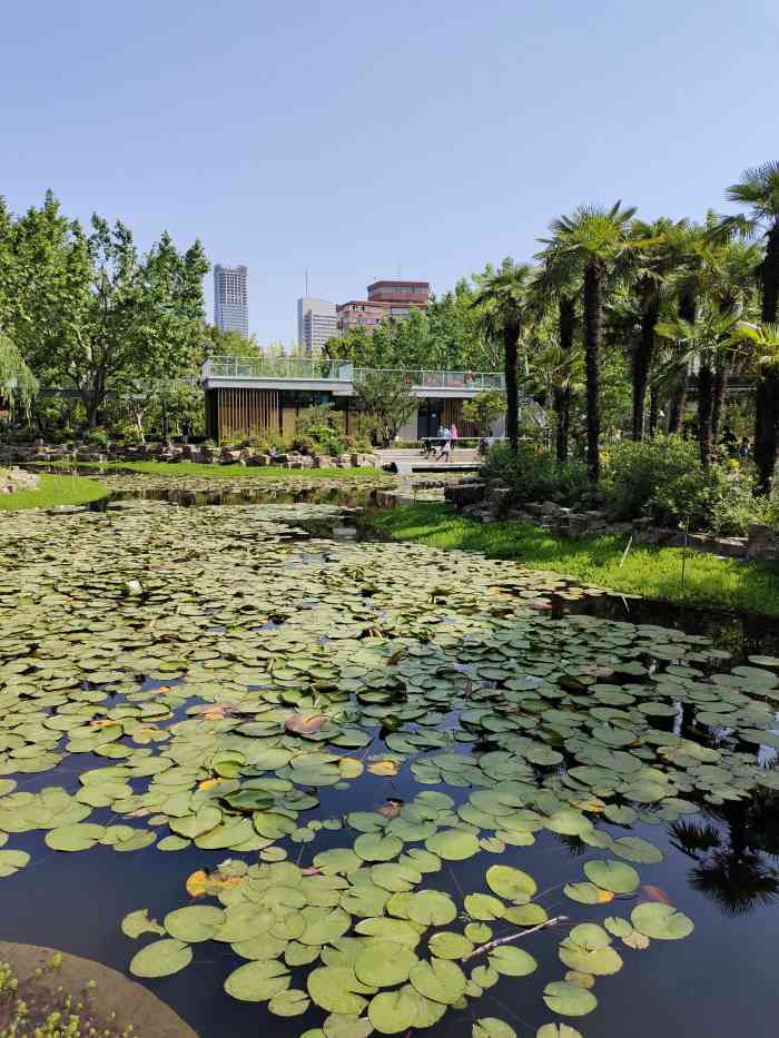 曹杨公园-"曹阳社区人们的乐园~从小就有了~期间改造.