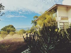 -福建鲤鱼洲酒店