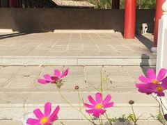 -鸡鸣山旅游风景区