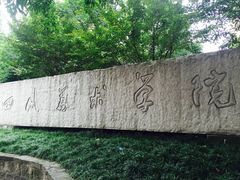 -黄桷坪涂鸦艺术街