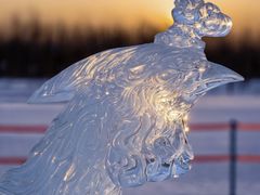 -长春市南湖公园