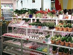 -KKV(东莞海德汇一城店)