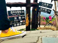 -鬼笑石后山停车场