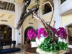 -美林湖温泉别墅度假村