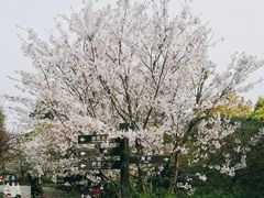 -南山植物园