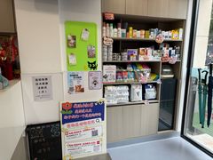 -宠物星动物医院·眼科·异宠·猫科(江南大道总院)