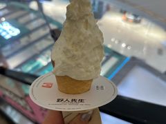 -野人先生Gelato(上海长宁龙之梦店)